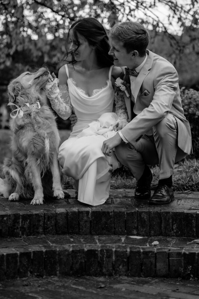 Brautpaar mit Hund kniend